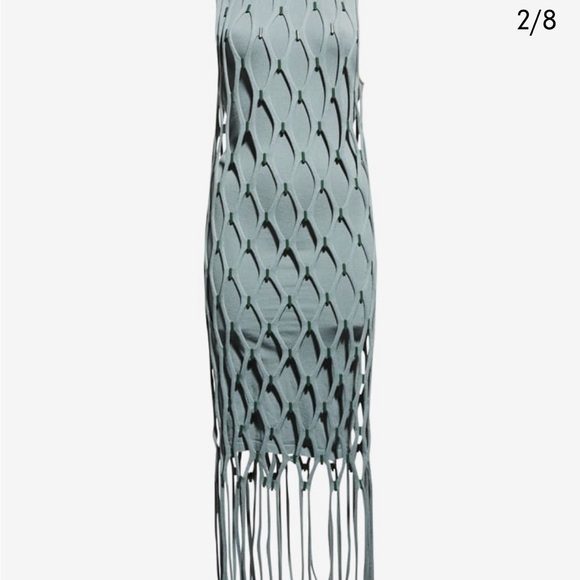 Simkhai Dresses & Skirts - SIMKHAI Mariel Compact Mesh Fringe Mini dress